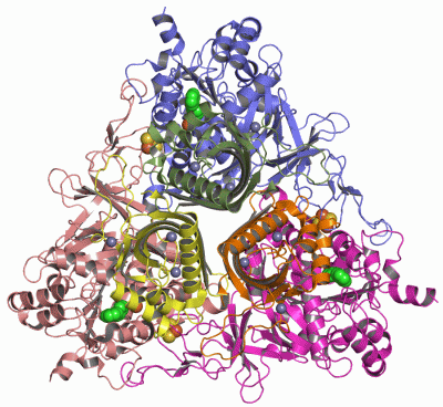 Image Asym./Biol. Unit - manually