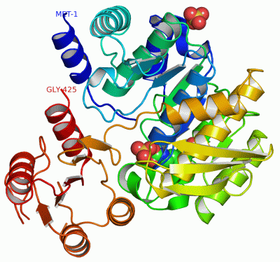 Image Asym./Biol. Unit - manually