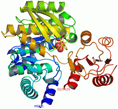 Image Asym./Biol. Unit - manually