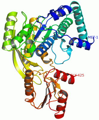 Image Asym./Biol. Unit - manually