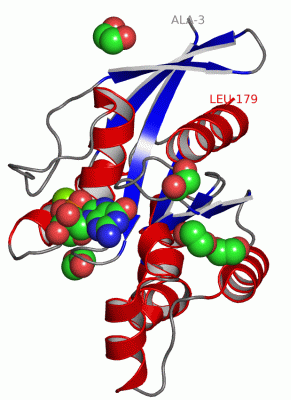 Image Asym./Biol. Unit - manually