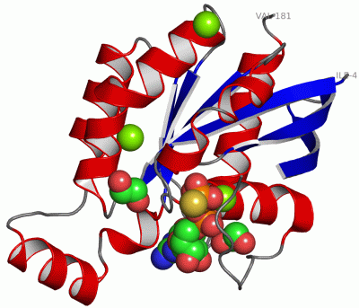 Image Asym./Biol. Unit - manually