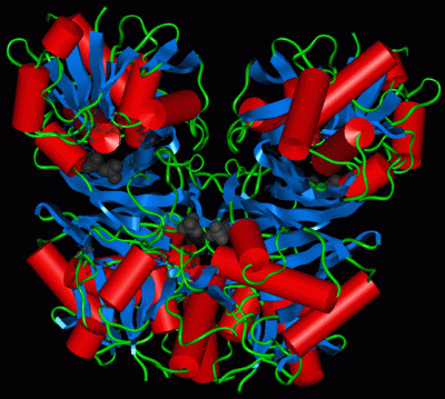 Image Asym./Biol. Unit - manually