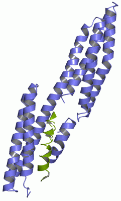 Image Asym./Biol. Unit - manually