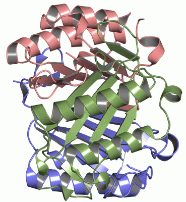 Image Asym./Biol. Unit - manually