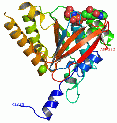 Image Asym./Biol. Unit - manually