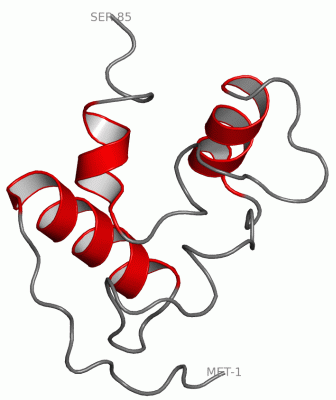 Image NMR Structure - manually