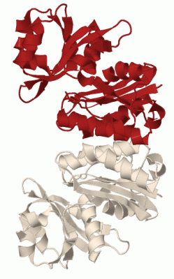 Image Biol.Unit 1 - manually