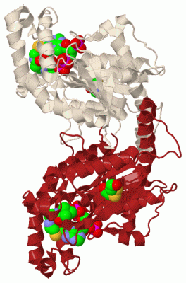 Image Biol.Unit 1 - manually