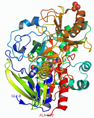 Image Asym./Biol. Unit - manually