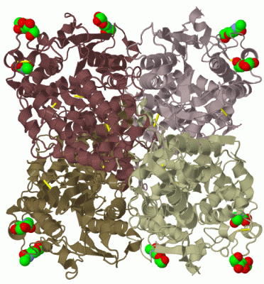 Image Biol.Unit 1 - manually