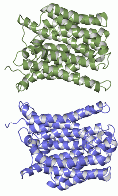 Image Asym./Biol. Unit - manually