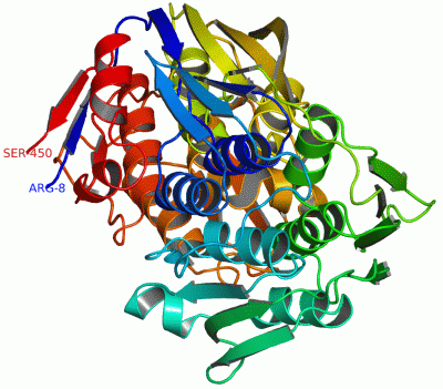 Image Asym./Biol. Unit - manually