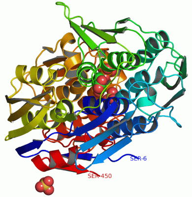 Image Asym./Biol. Unit - manually