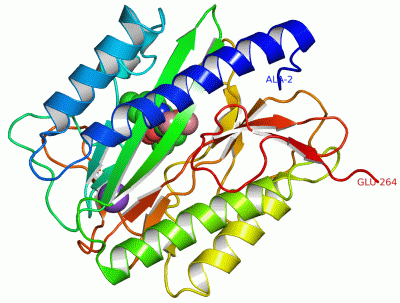 Image Asym./Biol. Unit - manually