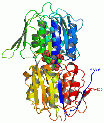 Image Asym./Biol. Unit - manually