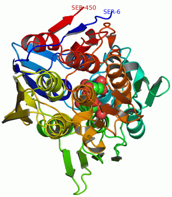 Image Asym./Biol. Unit - manually