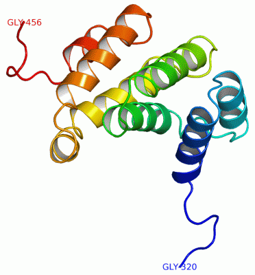 Image NMR Structure - manually