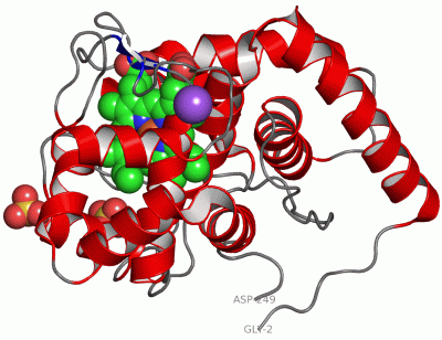 Image Asym./Biol. Unit - manually