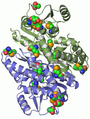 Image Asym./Biol. Unit - manually