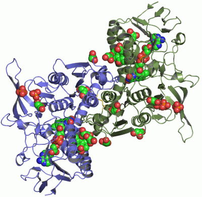 Image Asym./Biol. Unit - manually