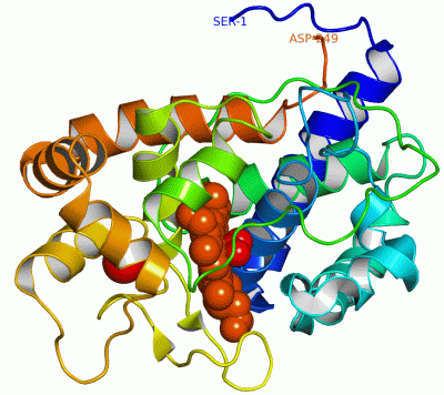 Image Asym./Biol. Unit - manually