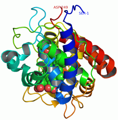 Image Asym./Biol. Unit - manually