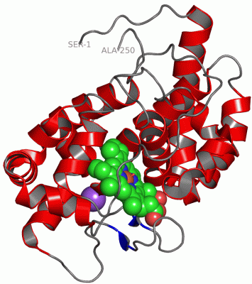 Image Asym./Biol. Unit - manually