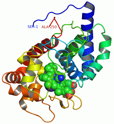 Image Asym./Biol. Unit - manually