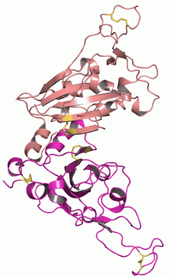 Image Asym./Biol. Unit - manually