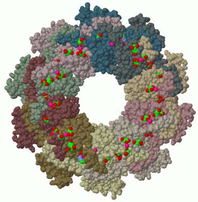 Image Biol.Unit 1 - manually