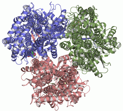 Image Asym./Biol. Unit - manually