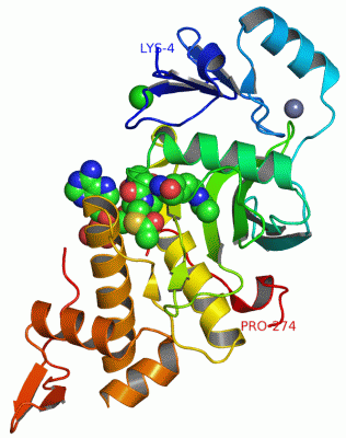 Image Asym./Biol. Unit - manually