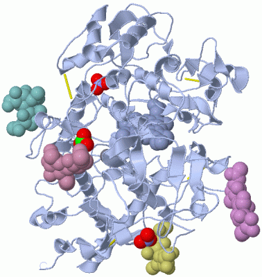 Image Asym./Biol. Unit - manually