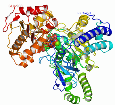 Image Asym./Biol. Unit - manually