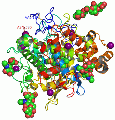 Image Asym./Biol. Unit - manually