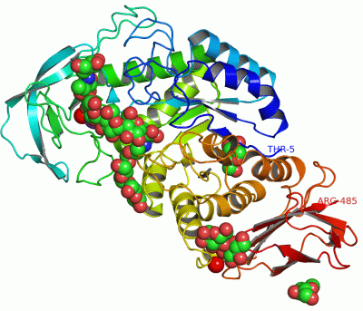 Image Asym./Biol. Unit - manually