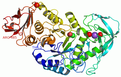 Image Asym./Biol. Unit - manually