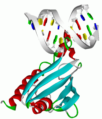 Image NMR Structure - manually