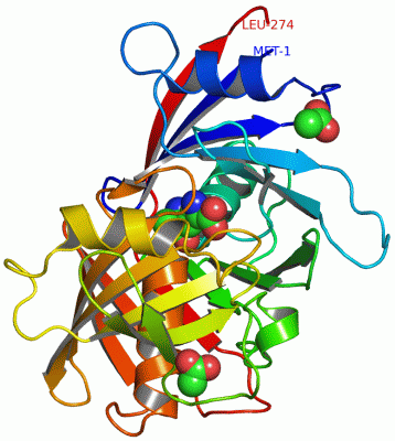 Image Asym./Biol. Unit - manually