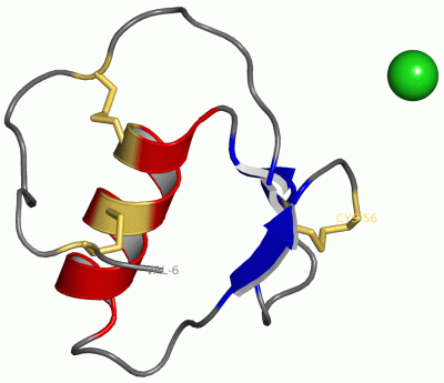 Image Asym./Biol. Unit - manually