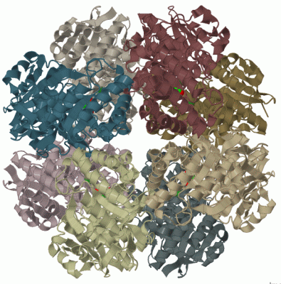 Image Biol.Unit 1 - manually