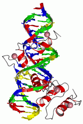 Image Asym./Biol. Unit - manually