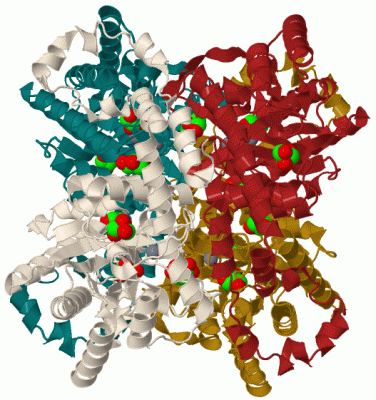 Image Biol.Unit 1 - manually