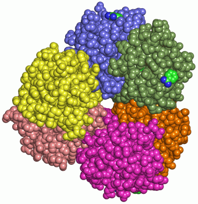 Image Asym./Biol. Unit - manually