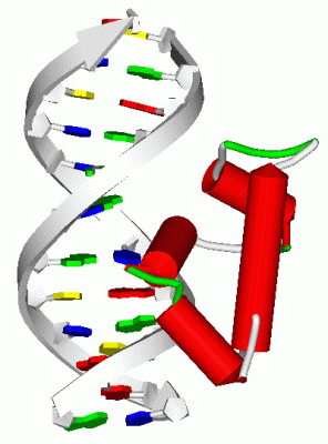 Image NMR Structure - manually