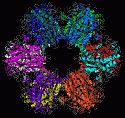 Image Asym./Biol. Unit - manually