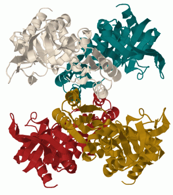 Image Biol.Unit 1 - manually