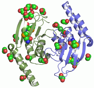 Image Asym./Biol. Unit - manually