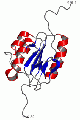 Image NMR Structure - manually